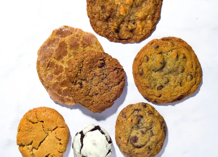  Classic Apology Collection