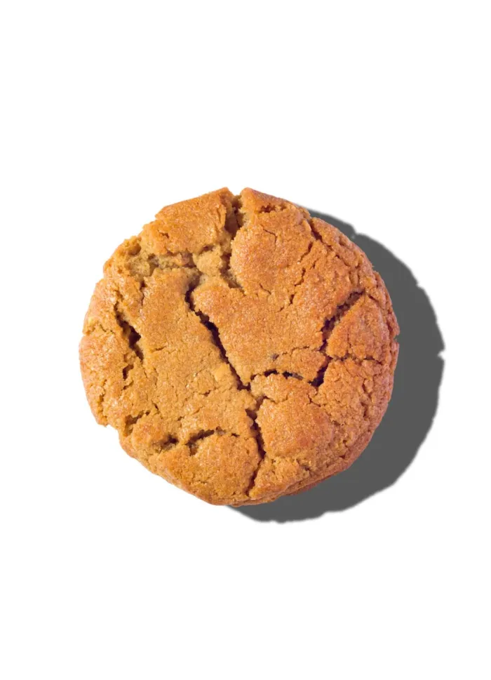Peanut Butter Cookie
