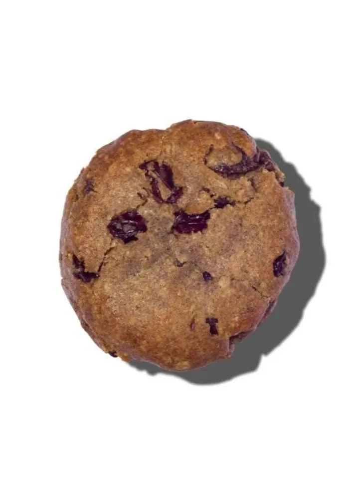 Vegan Gluten-Free Oatmeal Raisin Cookie